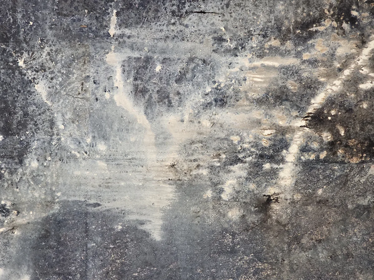 Detalle 3