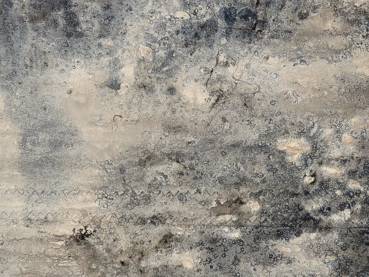 Detalle 4
